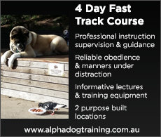 Read more about our 4 Day Fast Track Course