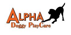Alpha Doggy PlayCare