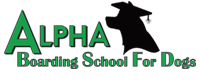 Alpha Boarding School for Dogs